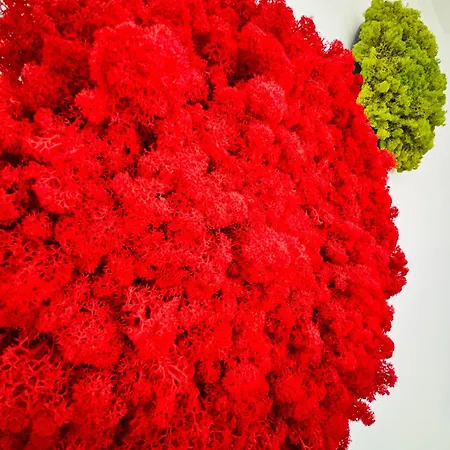 Frau Holle Appartement *